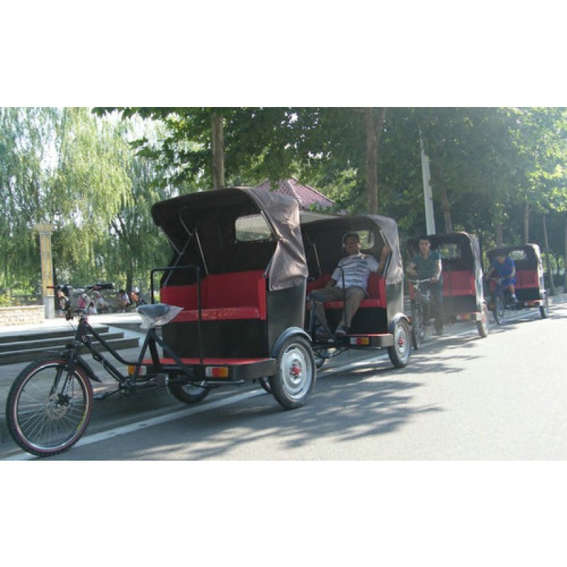 Rickshaw Cart Manufacturer - Human-Powered Two-Wheeled Street Show