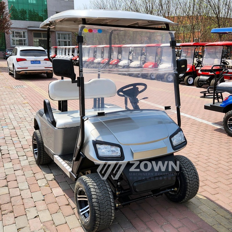 Europe Golf Cart Supplier - Fashional Lithium Battery CE