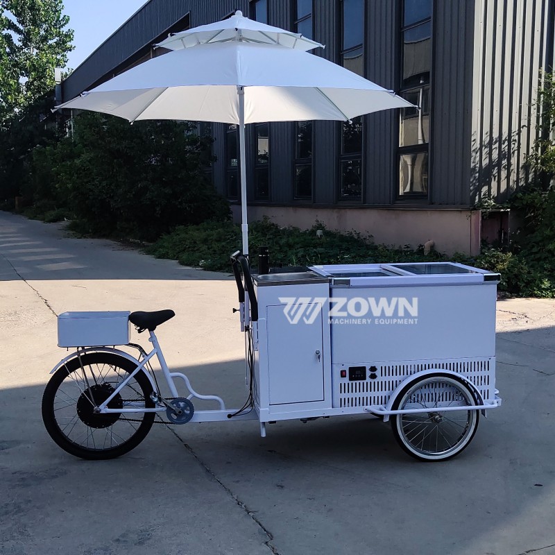 Hand Push Cart Manufacturer - Freezer for Ice Cream Customized