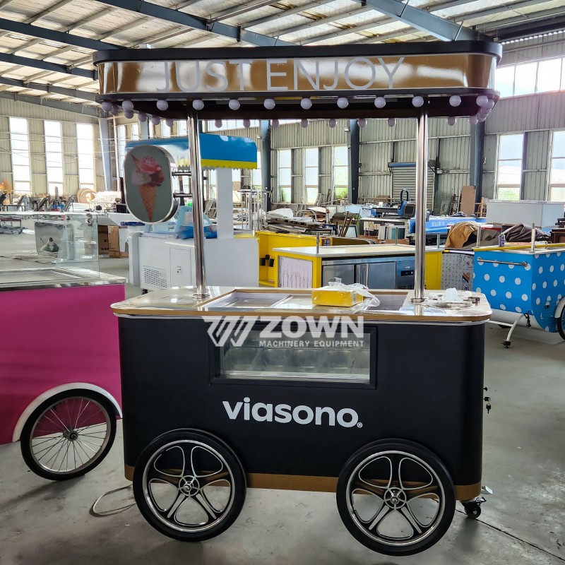 Hand Push Cart Manufacturer - Freezer for Ice Cream Customized