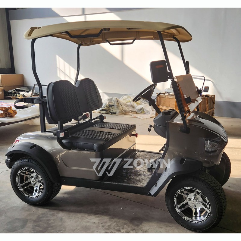 Electric Golf Cart Manufacturer - Customized Stylish Comfortable