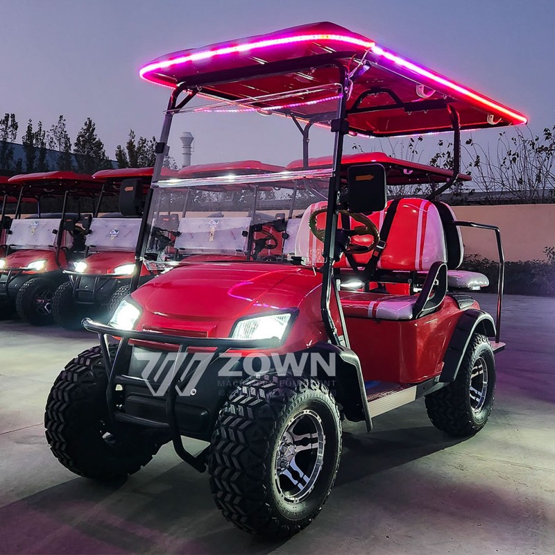 Golf Cart Factory - New Design Off-road Customized