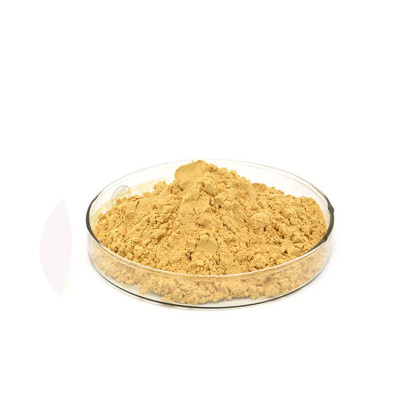 Natural Goji Berry Plants Chinese Wolfberry Extract Goji Powder Goji Berry Extract