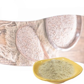 Dietary Fiber Supplement Psyllium Husks Bulk Organic Psyllium Husk Powder