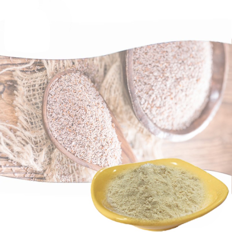 Dietary Fiber Supplement Psyllium Husks Bulk Organic Psyllium Husk Powder