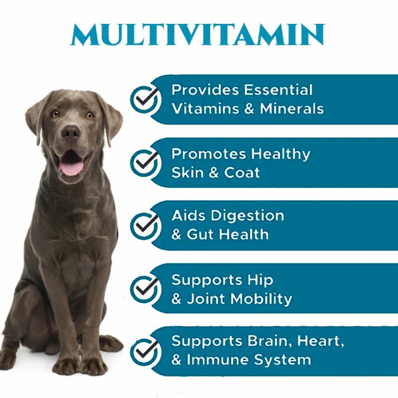 OEM Dog Vitamins Pet Nutrition Supplements Chews for Joint Pet Health Care Supplements