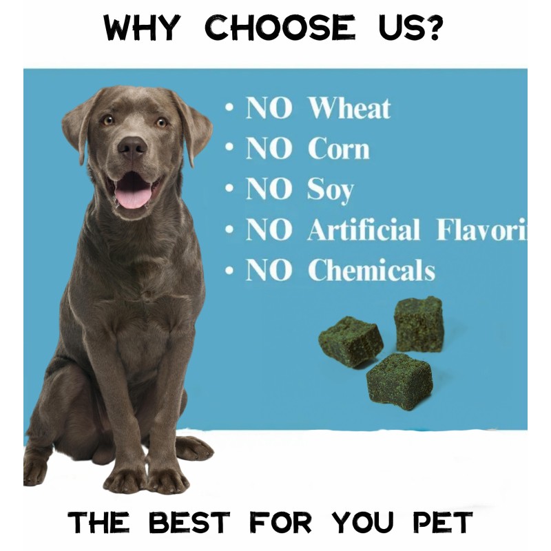 High Quality Dog Supplements Chews for Hip and Joint Pet Health Care & Supplements