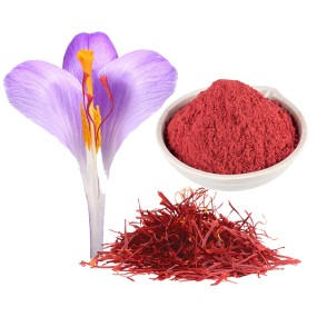 Ausreson Saffron Extract Powder Organic Saffron Supplement 0.4% 3% 10:1 Saffron Extract