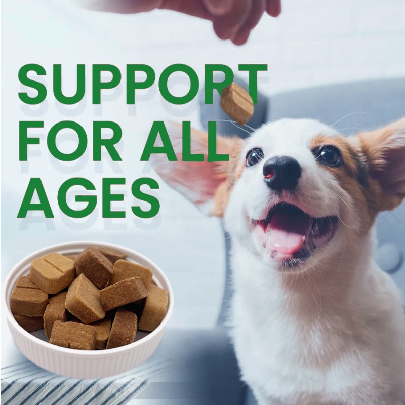 Wholesale High Quality Soft Chews Cat Dog Vitamin Hip Joint Supplement Pet Health Care Supplements