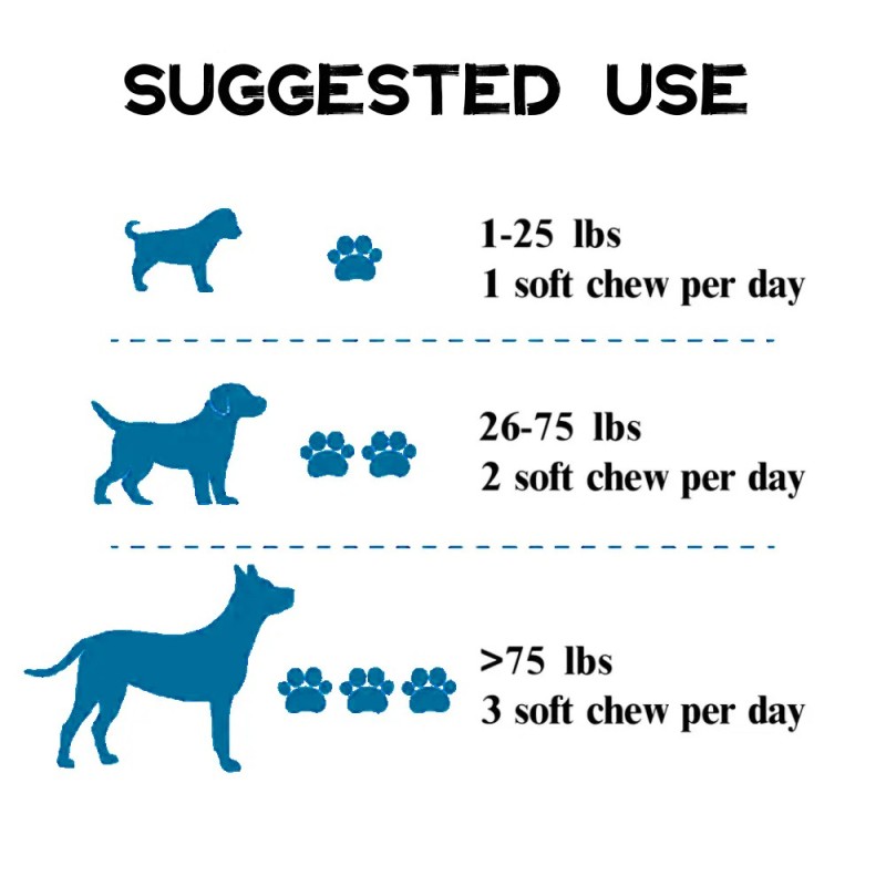 OEM Dog Vitamins Pet Nutrition Supplements Chews for Joint Pet Health Care Supplements