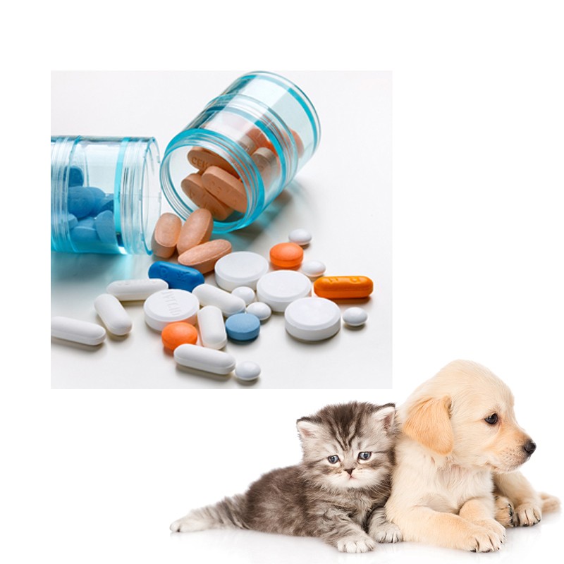 Dietary Healthcare Dog Mult Vitamins Custom Pet Vitamin Organic Dog Supplement Vitamin B12