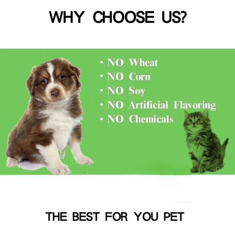 Wholesale Product for Cats Dogs Immune Vitamins for Dogs Pet Health Care Supplements