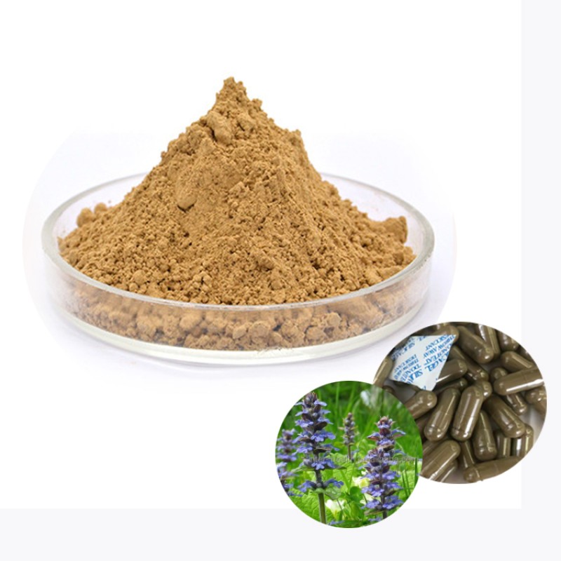 Low Price Supplement 1% Turkesterone Extract Powder 10% 40% Turkesterone