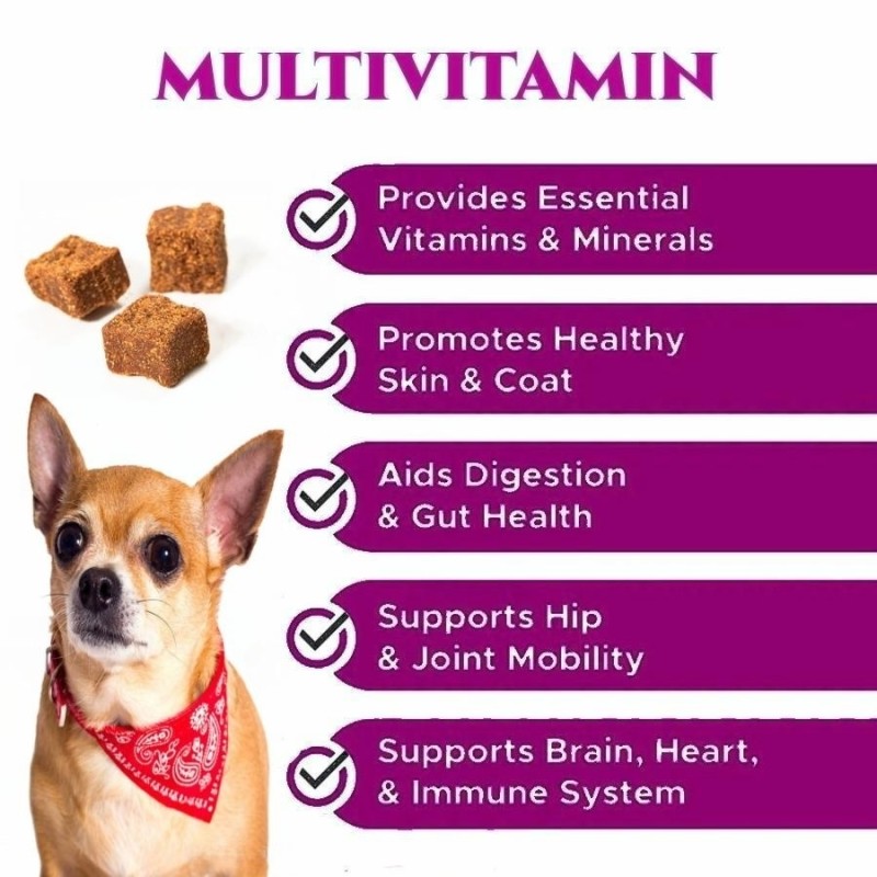 Cat Dog Snack Taurine Omega 3 Healthy Mineral Multivitamin Pet Health Care Supplements Dog Vitamin
