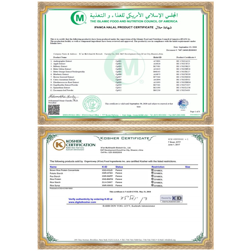 Suppliers Mono Supplements Thiamine Nitrate(vitamin B1 Hcl Gmp) Thiamin Hcl Vitamin B1Powder
