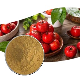 Hot Selling Hawthorn Berry Extract Flavonoids Powder 80% Hawthorn Flavone 10:1 20:1 Hawthorn Berry Extract