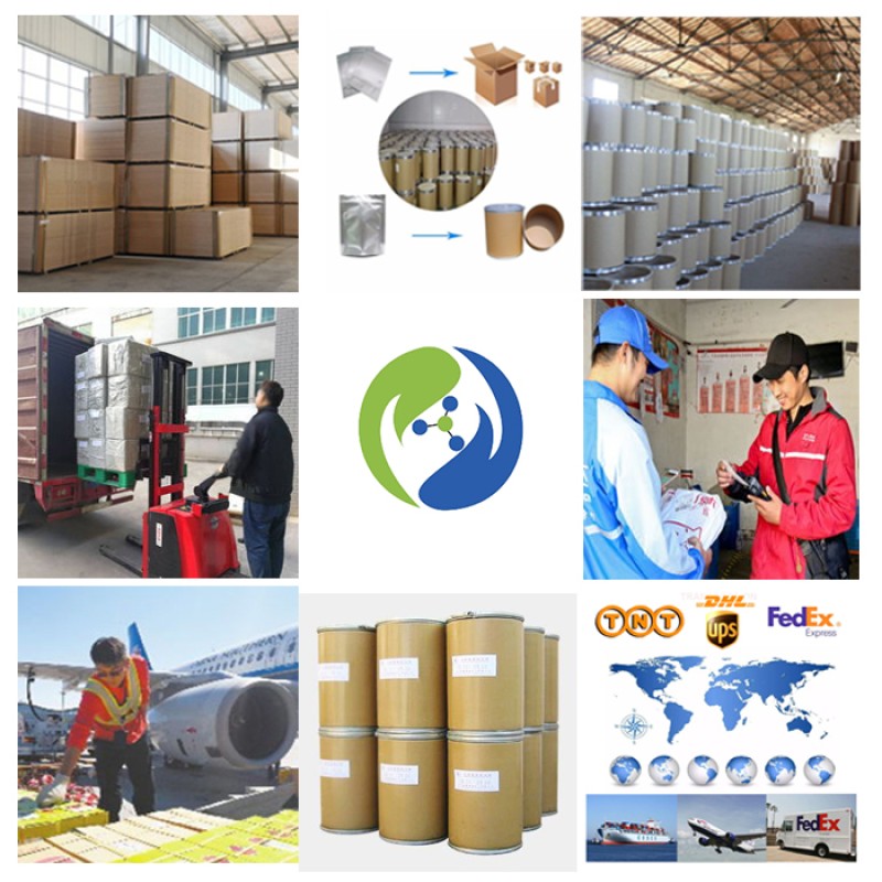 Wholesale Bulk Pet Health Supplies Nutritious Dog and Cat Vitamin C Dog Vitamin Supplement