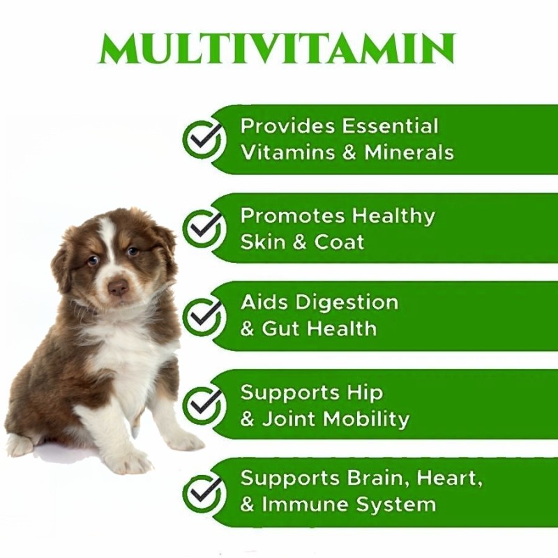 Wholesale Product for Cats Dogs Immune Vitamins for Dogs Pet Health Care Supplements