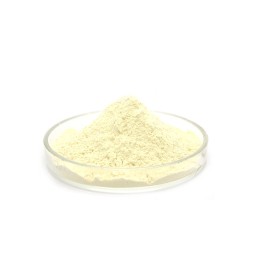 Factory Supply Supplement Genistein Powder CAS 446-72-0 HPLC 98% Pure Genistein