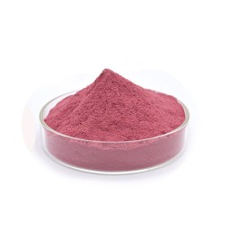 Herbal Supplement Natural Bilberry Extract 4:1 25% 30% Anthocyanin Powder Bilberry Extract