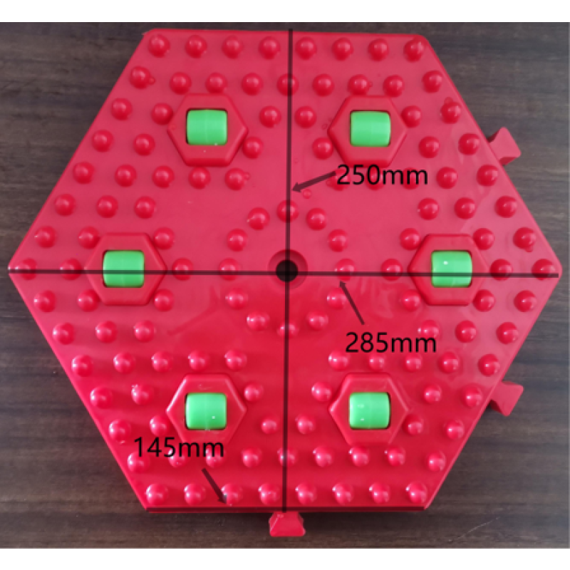 Electric Carousel Manufacturer - 8-Seat Electric Carousel Flying Fish