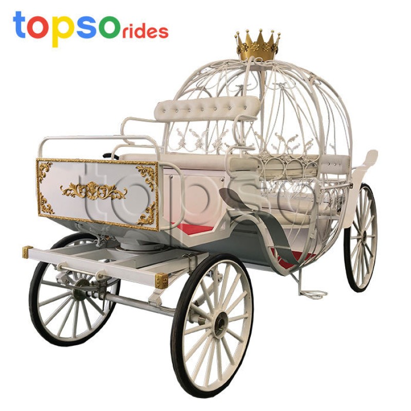 Park Transportation Manufacturer - Park Transportation Hollow Princess