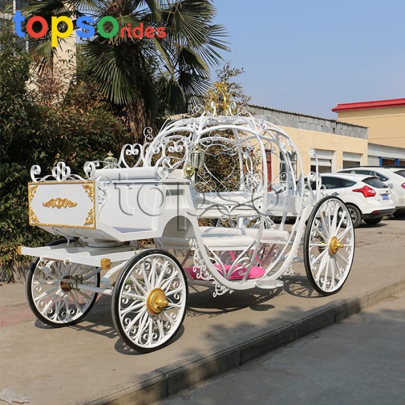 Electric Wagon Factory - Electric Horse Wagon for Scenic Spot