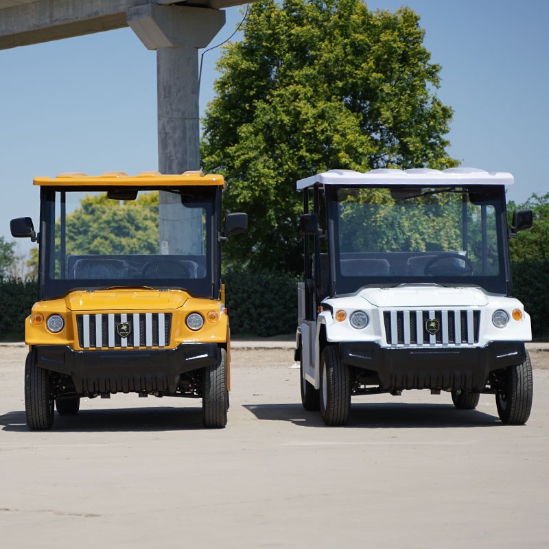 Electric Sightseeing Car Manufacturer - Street Legal Lithium