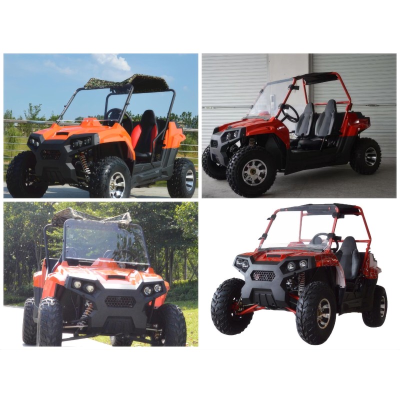 Mini Buggy Manufacturer - 200-300cc Adult 4WD
