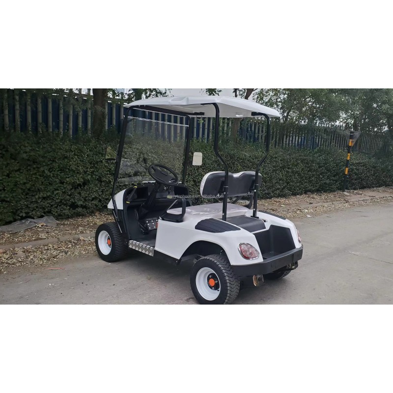 Golf Cart Factory - 2 Seater Mini Electric Low