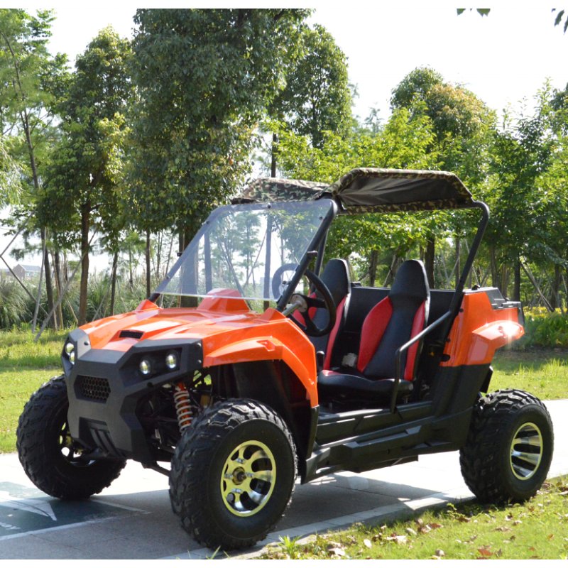 Vehicle Buggy Manufacturer - 200CC Adult Bulk
