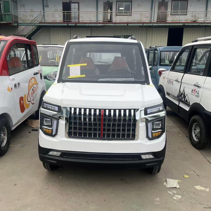 Mini Electric Vehicle Manufacturer - 5-door 4-seater