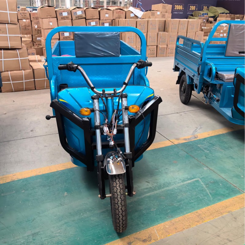 Electric Tricycle Manufacturer - 3-Wheels Cargo Box Bike