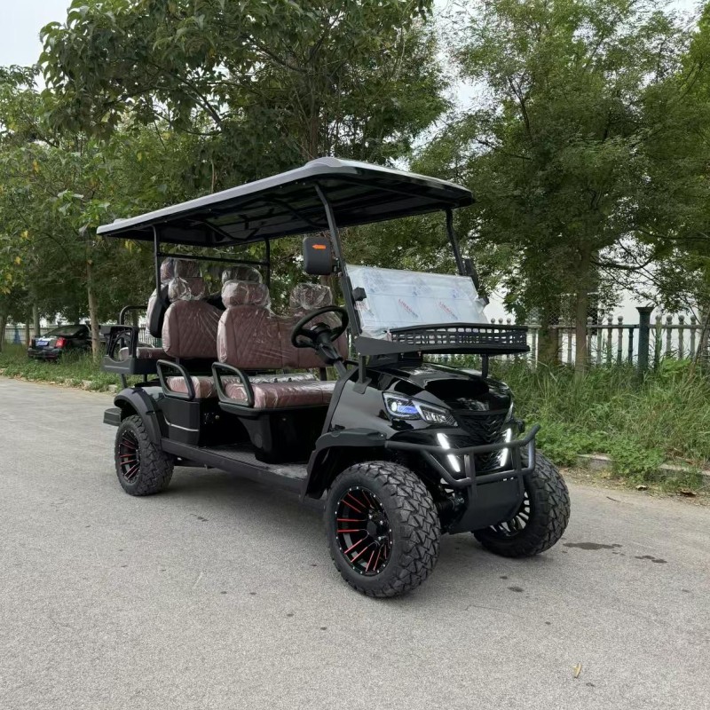 Golf Buggy Factory - 2-8 Seats Custom Hunting Cart