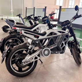 Electric Motorcycle Manufacturer - Hydraulic Disk Brake