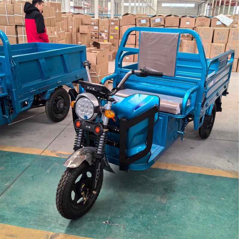Electric Tricycle Factory - 60V 1000W 3-Wheel Cargo Bike