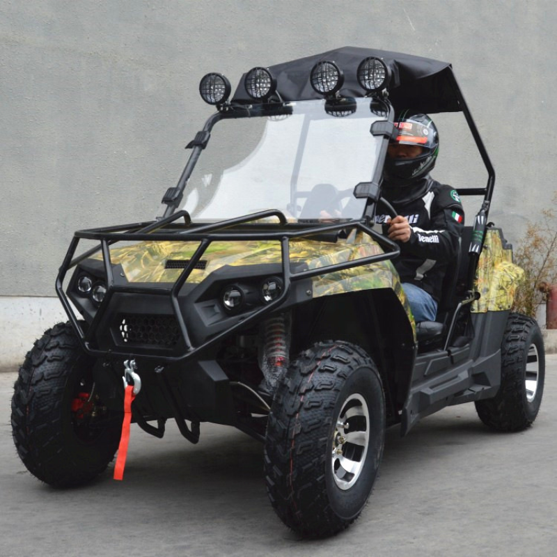 Vehicle Buggy Manufacturer - 200-300cc Adult 4WD