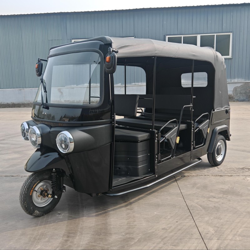 Electric Tricycle Manufacturer - 3 Wheeler Cart Custom
