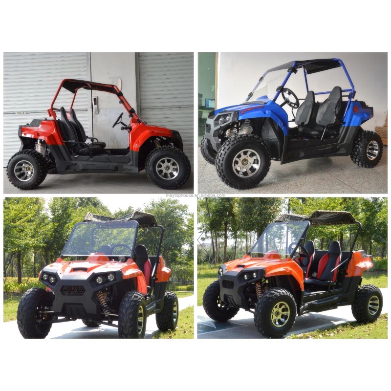 Mini Buggy Manufacturer - 200-300cc Adult 4WD