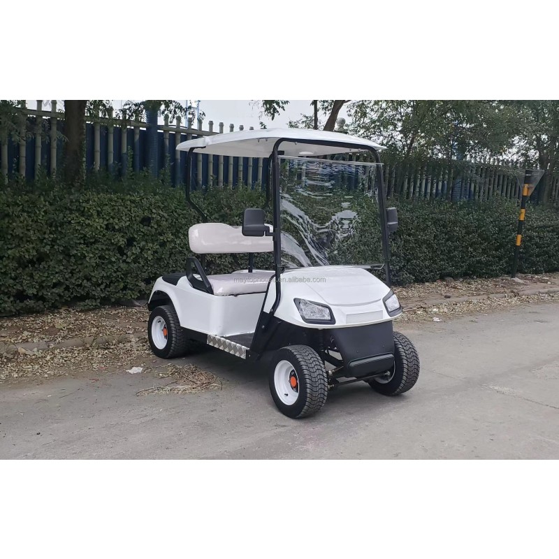 Golf Cart Factory - 2 Seater Mini Electric Low