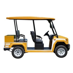 Golf Buggy Factory - 4+2 Seats Custom Design