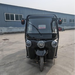Electric 3 Wheeler Factory - Cart and Tricycle OEM