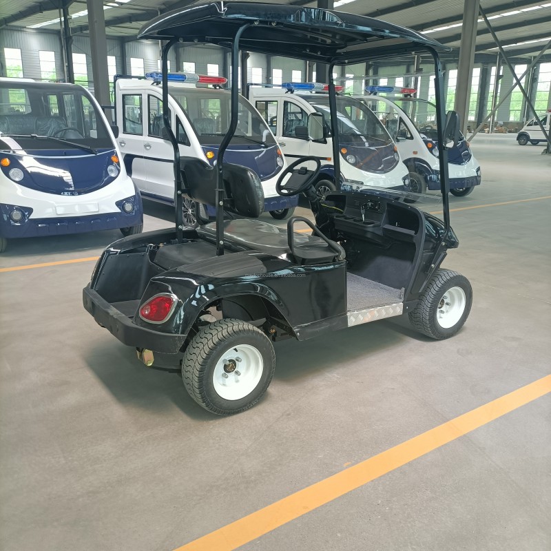 Golf Cart Factory - 2 Seater Mini Electric Low