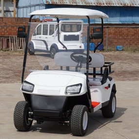 Electric Beach Buggy Manufacturer - 4 Passenger Golf