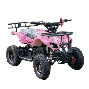 Quad Bike Manufacturer - 49CC 2 Stroke Kids