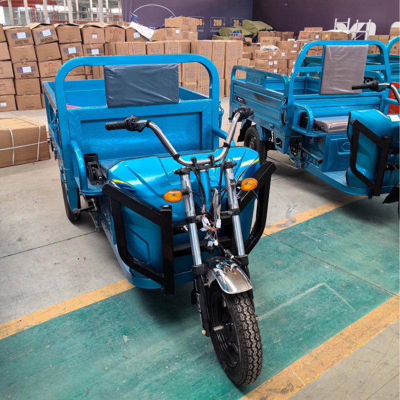 Electric Cargo Tricycle Factory - 60V 1000W Adult Transport