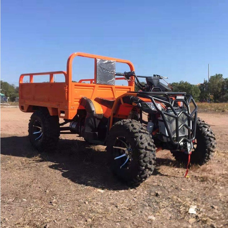 Vehicle Buggy Manufacturer - 200-300cc Adult 4WD