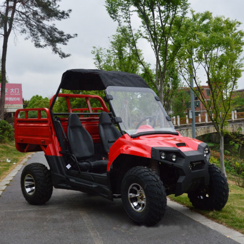 Vehicle Buggy Manufacturer - 200CC Adult Bulk