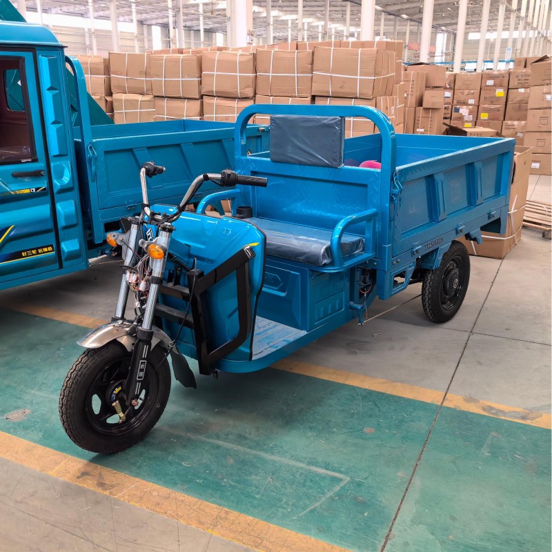 Electric Tricycle Manufacturer - 3-Wheels Cargo Box Bike