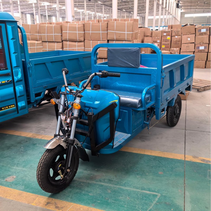 Electric Tricycle Factory - 60V 1000W 3-Wheel Cargo Bike